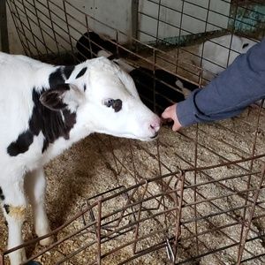 Meet your Posher, Haley